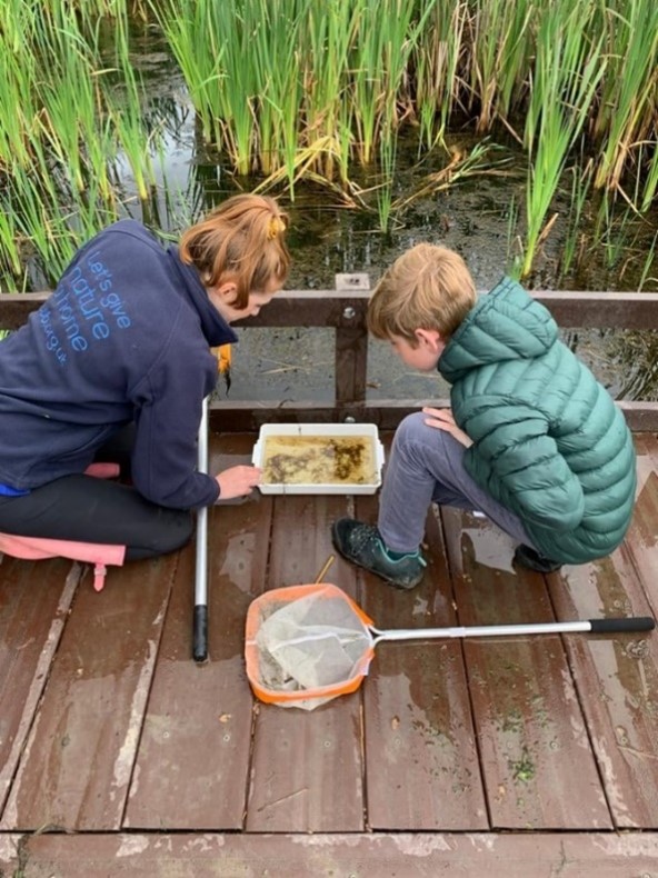 Image of RSPB staff member pond dipping with young person at event held at RSPB Black Devon Wetlands in Clackmannanshire.