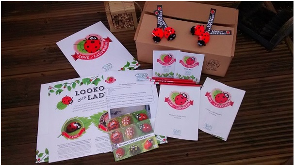 Image of Love Your Ladybirds Schools Kit 2014