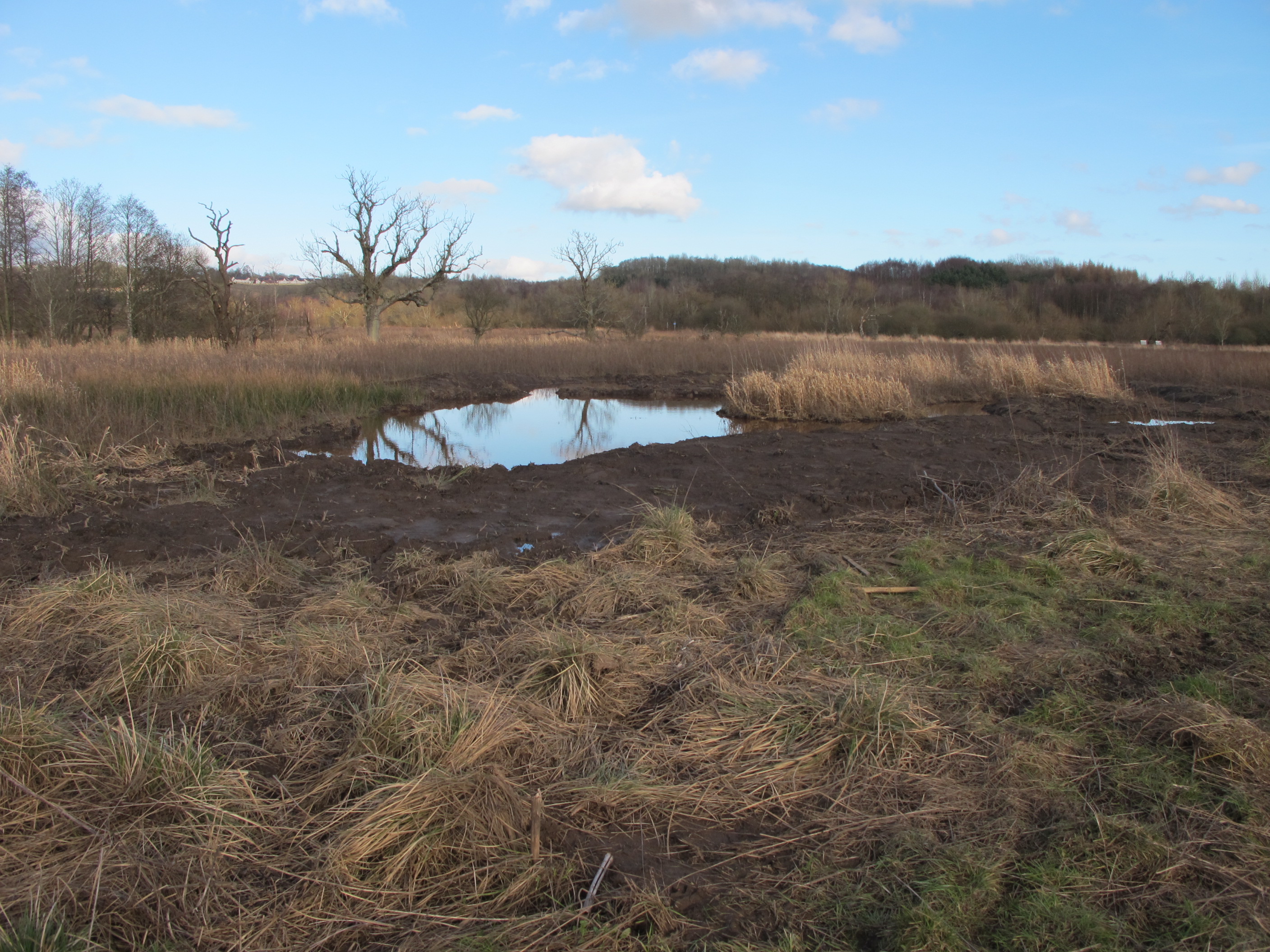 Bluther_wetland_-_pond_creation_and_willow_-_after.JPG